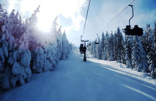 Apartment FeWo Steinbeisser by Interhome - Foto 33