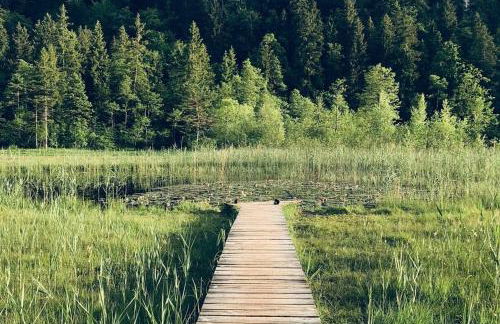 Apartment Alpenblick 11, Halblech im Allgäu, Bergblick pur - NEUERÖFFNUNG! - Foto 19