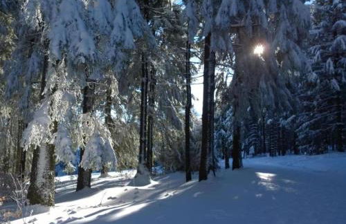 Holiday Stay with Terrace - Foto 32