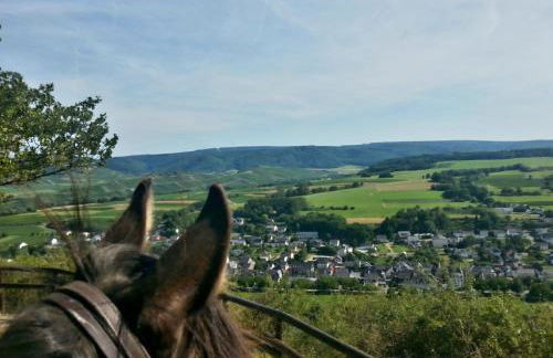 Premium Apartment Kahuna - Villa Rizas Hills - Foto 30