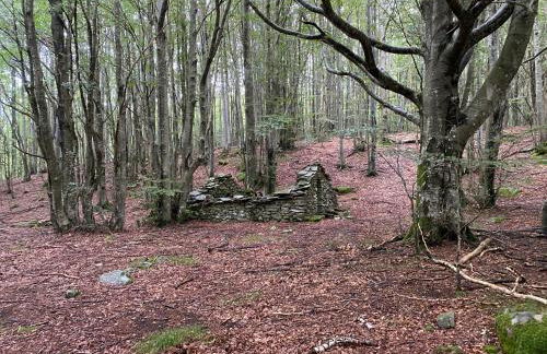 La Piscina nel Borgo - Photo 41