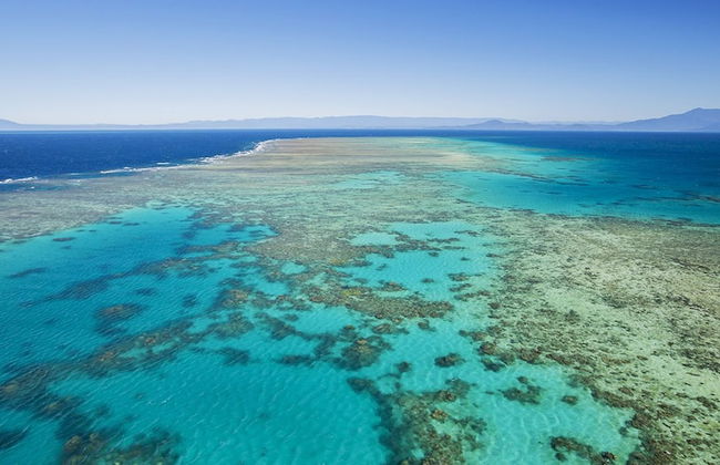 Coral Sea Villas - Foto 34