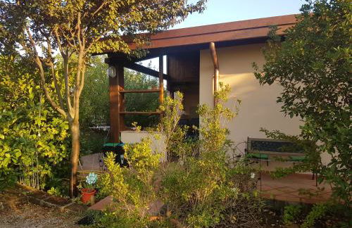 Agriturismo Collelungo di Maremma - Foto 15