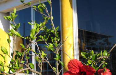 Quinta da Fornalha - Santuario Agroecologico - Foto 33