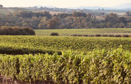 I Puntoni Agriturismo - Foto 13