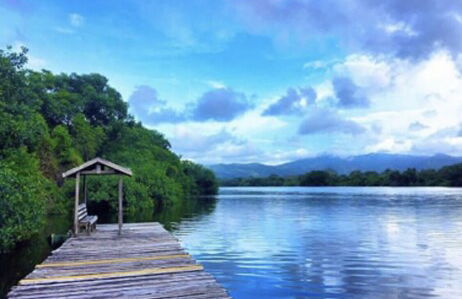 Shores Plantation - Foto 41