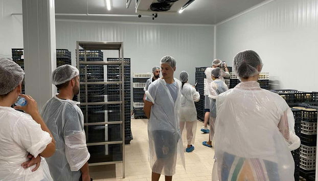 Touring the cheese factory
