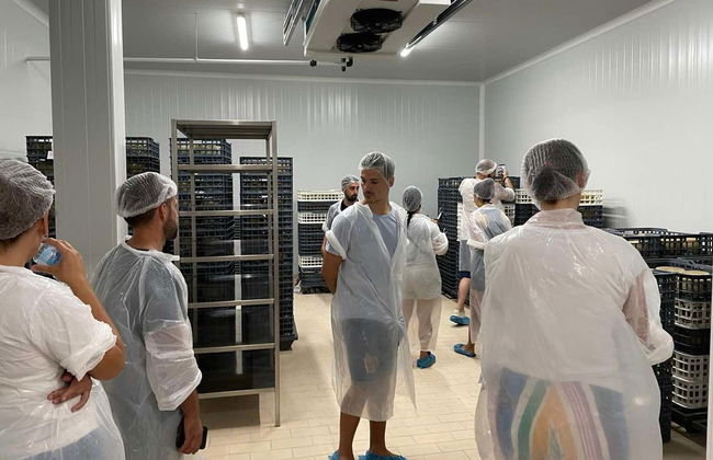 Cheese Factory Visit, Tasting & Workshop - Photo 5