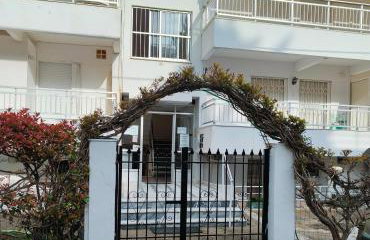 Sempre Viva - Foto 27