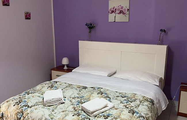 The Artists - Foto 28