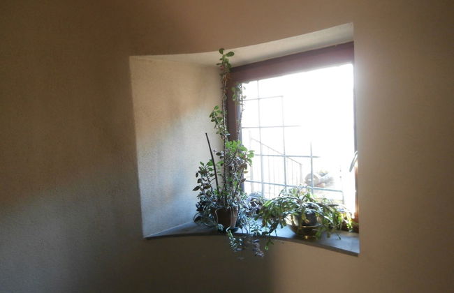 Agritur La Gemma - Photo 5