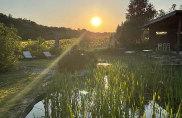 L'Etang Des Cigales - Foto 56