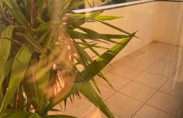 Riverside - apartment - Photo 15