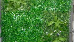 Asian Food Gallery mini back room - Foto 2