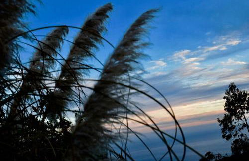 Finca Casa Madera 1 - Foto 58