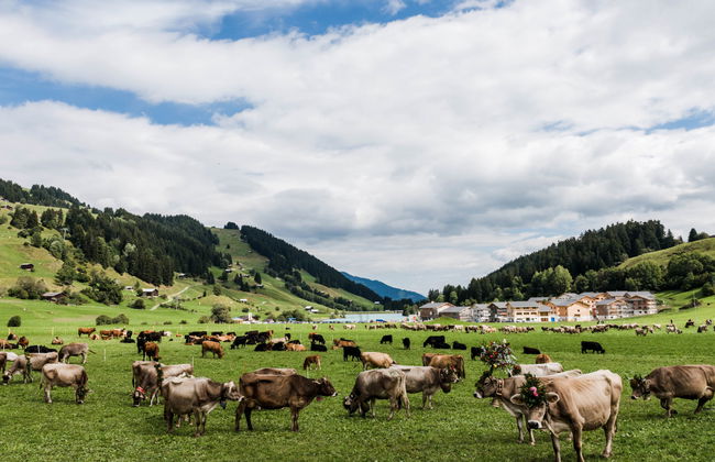 Pradas Resort - 2.5 Zimmer Premium - Foto 48