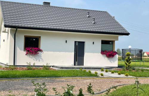 Leśny Horyzont Bałtów - Foto 1