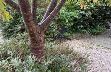 House Martin - Foto 4