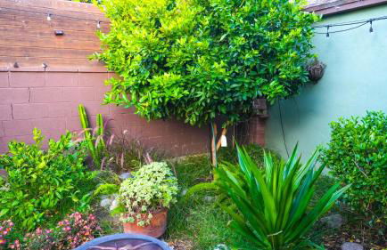 Cozy private Guest House - Foto 52