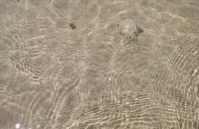 Snowdonia Holiday Sea Beach and Mountains View - Photo 24