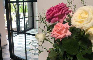 WILLA MAGNOLIA - Apartamenty i Pokoje SPRZĘT DO POŁAWIANIA BURSZTYNU -wodery, podbieraki, latarki UV - POKÓJ ZABAW- ROWERY - KAWA Z EKSPRESU - Foto 48