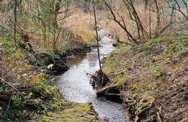 Ferienhaus Fuchs&Hase - Foto 33