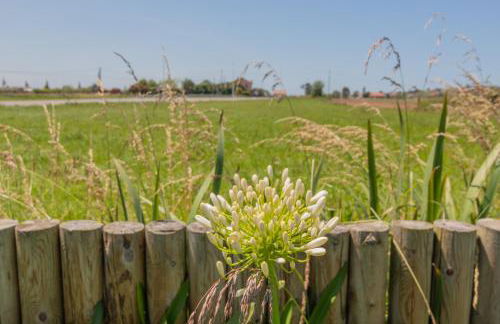 OCEANSUITESLANGRE - Foto 15