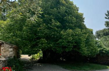 Ermitage Saint Quinis - le Ponant, maison en bois eco ondes - Photo 20