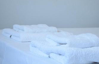 Alexandra's Place - Photo 5