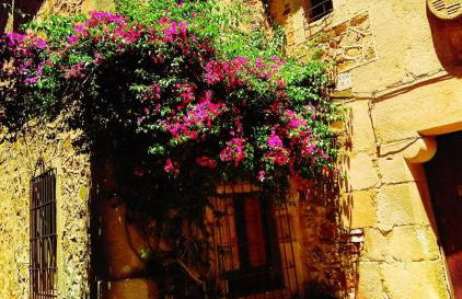 Apartamentos Las Buganvillas - Foto 18