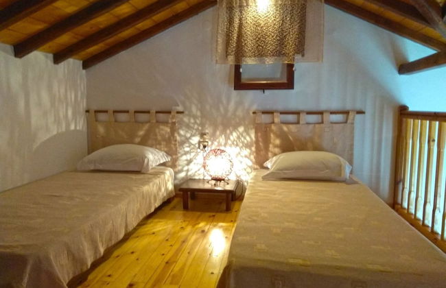 Flower Houses - Foto 5