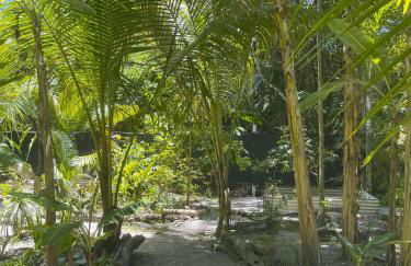 REFUGIO DO SAGRADO MORERE Tropical Lodge - A Casa do Vigía - Foto 58