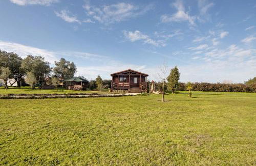 Casa da Lagoa Pateira - Foto 24