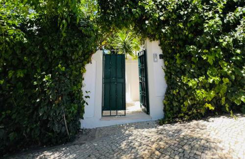 CICAS VILLA - Foto 12