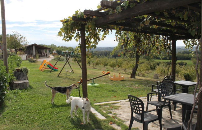 Agriturismo Il Palazzetto - Foto 21