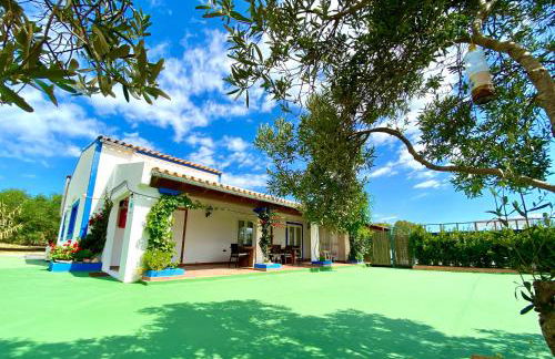 CAN DAMIA 1 - Foto 14