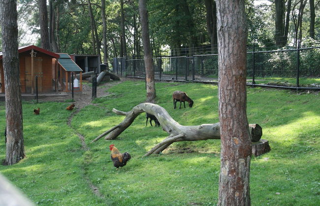 Well Furnished Chalet with Garden near Brunssummerheide - Photo 28