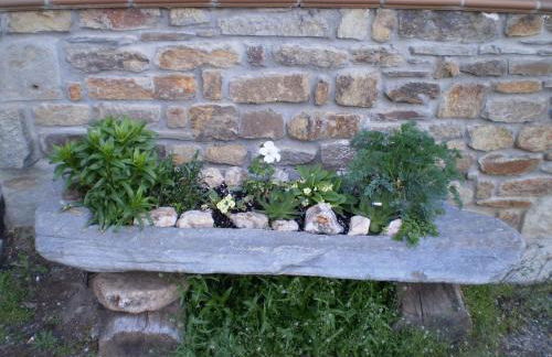 Casa rural el Molino del Botero - Foto 17