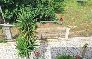 Palmer House - Foto 8