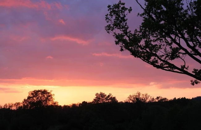 Oak House Farm - Foto 19