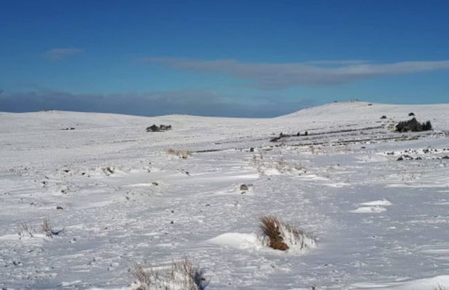 Dartmoor Barn on North Hessary Tor - Foto 28