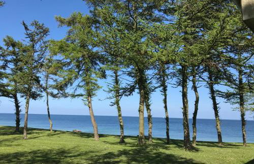 Strandläufer - Foto 27