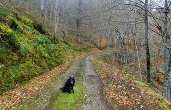 Apartamentos Nevandi - Photo 28