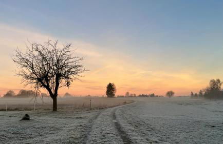 Bullau-bü - Appartment im Grünen - Foto 16