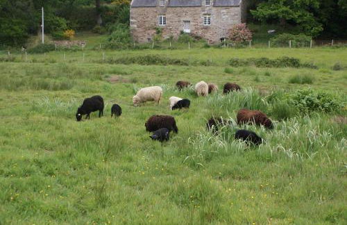 La Guguenaie - Foto 32