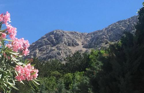 Apartments Juranic I - Photo 32