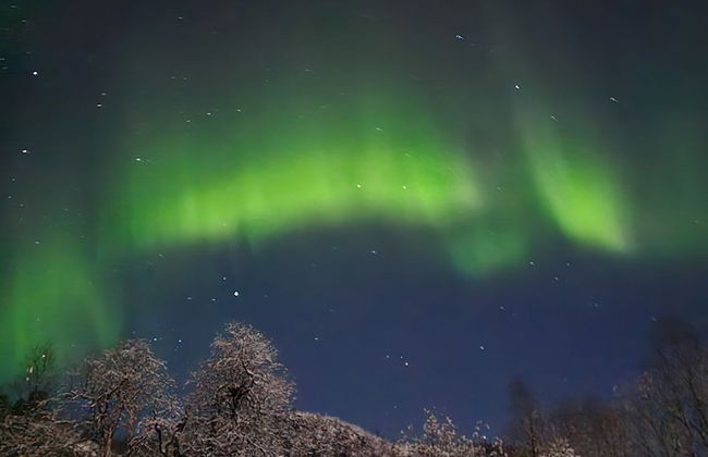 Elvestua House in Nature - Foto 33