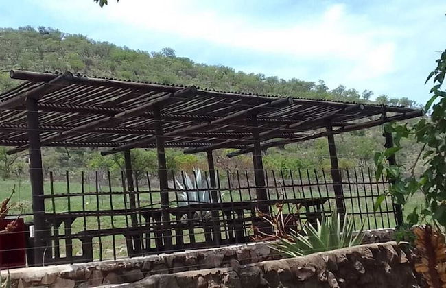 Natures Green Resort and Spa - Foto 65