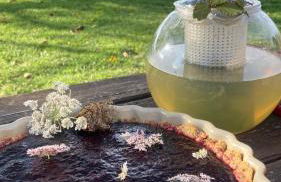 Simples Escales : gîte nature, détente et sauna - Photo 25