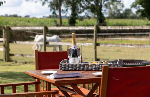 Stunning studio flat with dedicated private garden - Photo 15